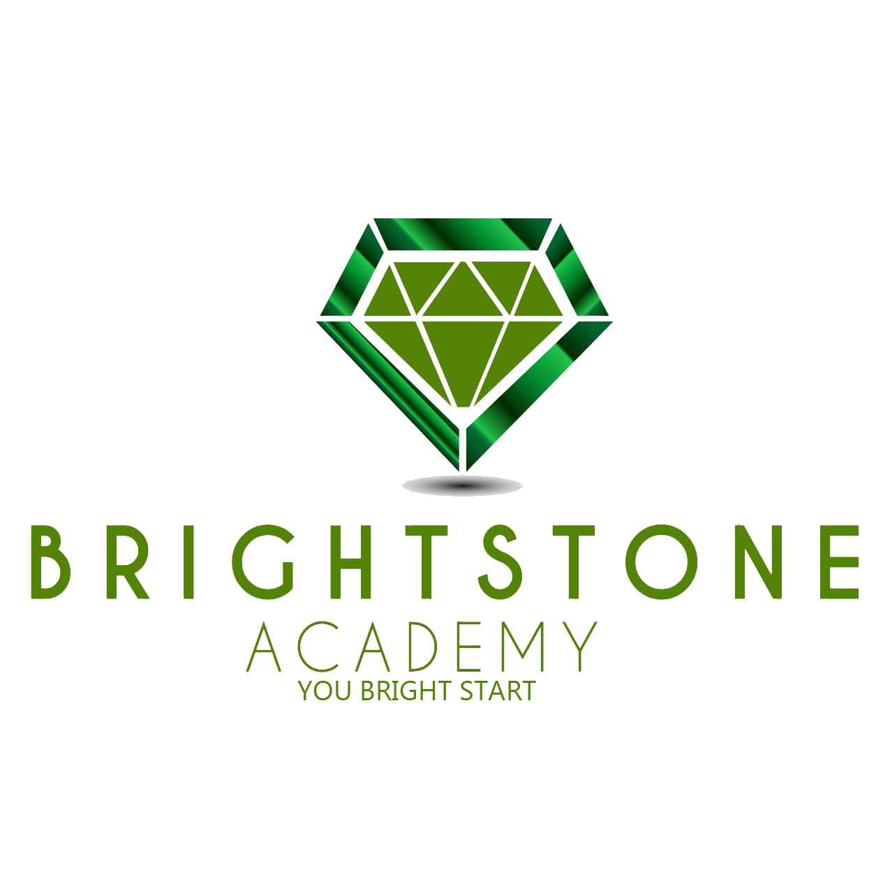 Brightstone Academy Logo